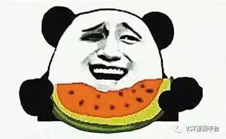 吃瓜群众网不红,网络红人的幕后故事 第1张 吃瓜群众网不红,网络红人的幕后故事 第1张