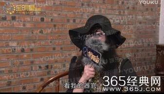 赵四爆料最新视频,娱乐圈幕后真相大曝光！  第2张